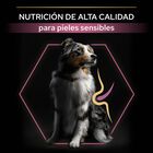 Pro Plan Medium Adult Sensitive OptiDerma Salmão ração para cães, , large image number null